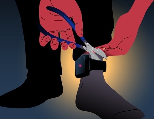 기사 이해를 돕기 위한 이미지. 게티이미지뱅크