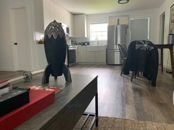 머스크 자택 내부.  디마 제뉴크 X 캡처