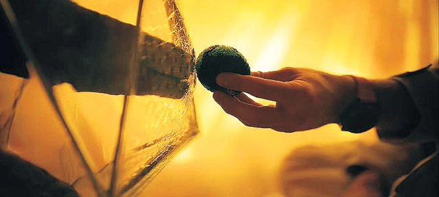 ‘E.T.’에서 손가락을 맞대는 것처럼, 그레이스와 로키의 교감이 따뜻하게 그려진다.