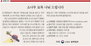 <알립니다> 소나무 묘목 나눠 드립니다