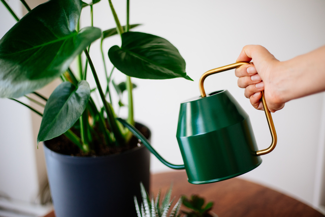 °ÔƼÀ̹ÌÁö¹ðÅ©