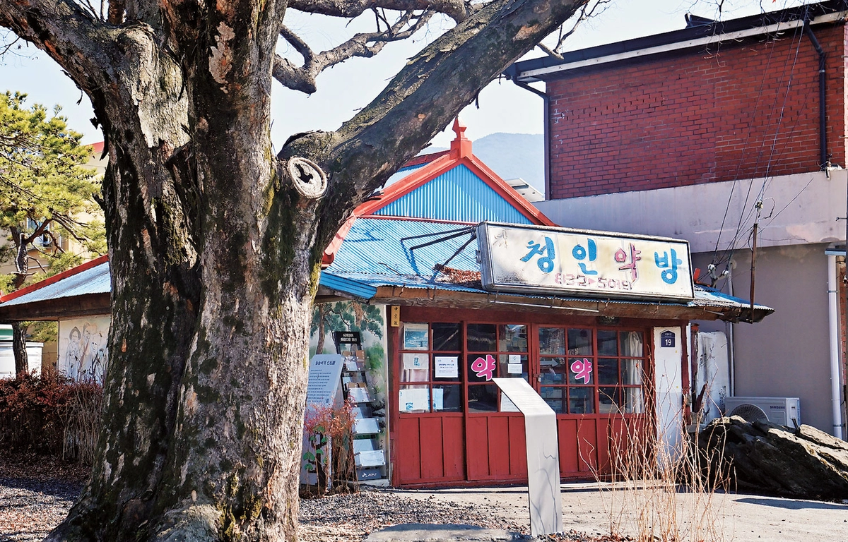 칠성시장 인근의 ‘청인약방’. 1958년 개업한 약방의 모습에서 세월이 묻어난다.

