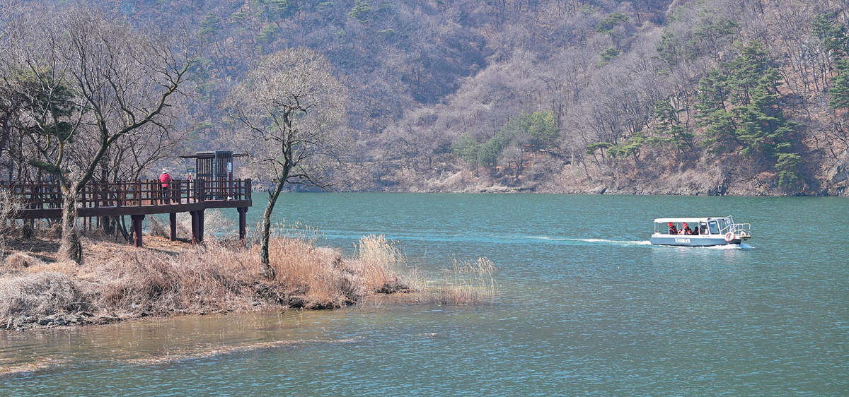괴산호에 초록이 번져갈 무렵… 반짝이는 물 위, 낭만의 길이 열린다[박경일기자의 여행]