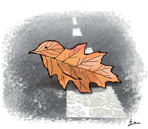 착각[살며 생각하며]