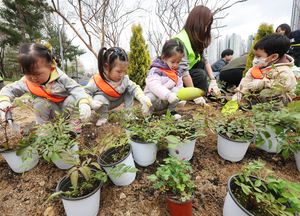 고사리손으로 나무심기