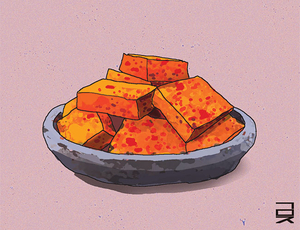 섞박지[한성우 교수의 맛의 말, 말의 맛]