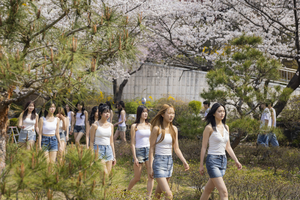 화사한 벚꽃 런웨이