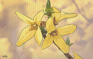 꽃 사진[유희경의 시:선(詩:選)]