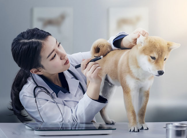 게티이미지뱅크