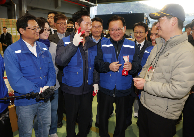 ‘김부겸 띄우기’