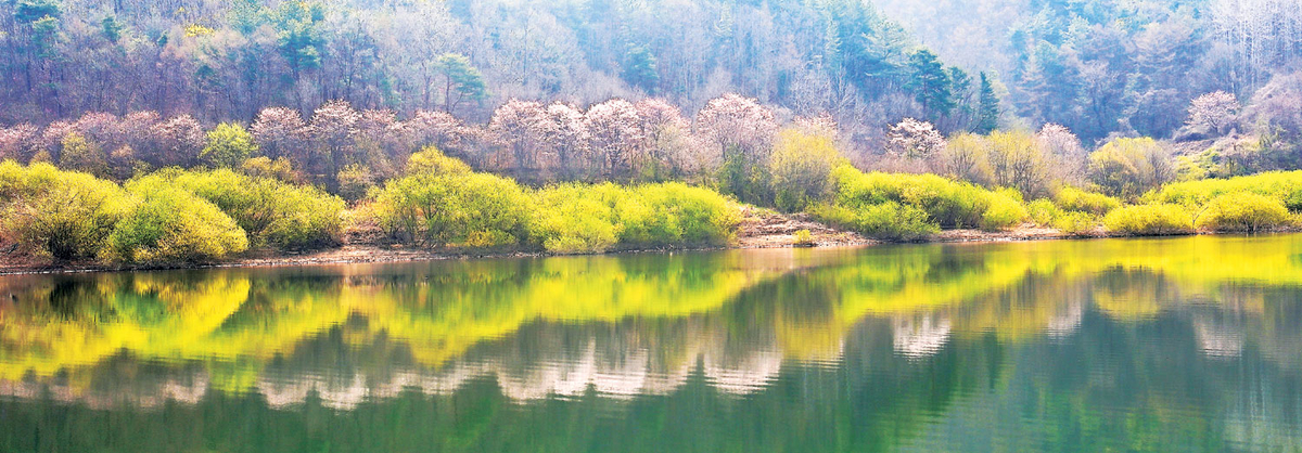 오지마을 호숫가에 켜진 ‘형광의 빛’… 차마 꿈엔들 잊힐리야[박경일기자의 여행]