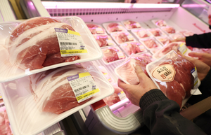 돼지고기 가격인하