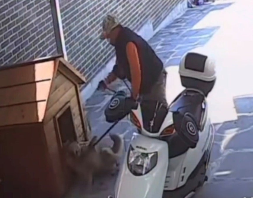 [충격]가정집 무단침입해 반려견 산 채로 끌고간 개장수 검거