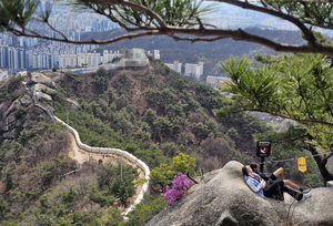 K데일리케이션에 푹 빠진 외국 관광객[도시풍경]