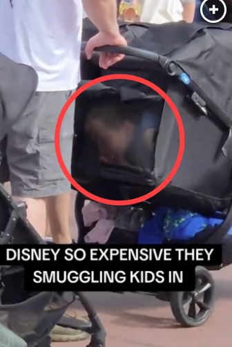 ‘숨막히는 유모차에 갇힌 아이’ 왜?…디즈니랜드 고가 입장료에 ‘꼼수’ 난무[아하 미국]