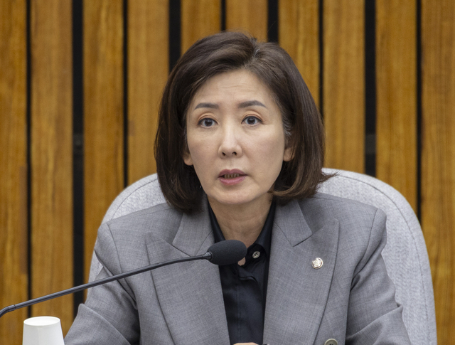 “대한민국 대통령인가? 가짜뉴스 사이버 렉카인가?”…이  대통령 직격한 나경원