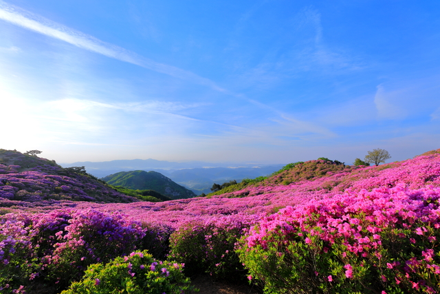  게티이미지뱅크