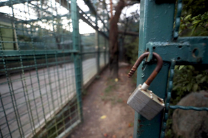 도망친 늑대 여러 마리였다면… 반복되는 동물원 맹수탈출 공포[Who, What, Why]