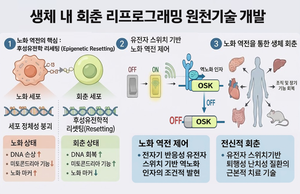 동국대 김종필 교수팀, 세계 최초 생체내 ‘회춘 리프로그래밍’ 성공…노화 되돌리는 유전자 스위치 활용