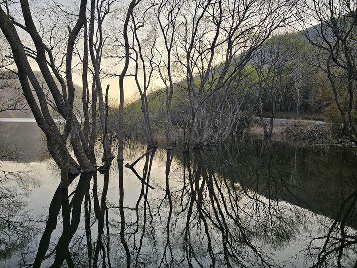 ‘귀신도 질릴 듯’…살목지에 사람 몰리자 차량 출입 통제 추진