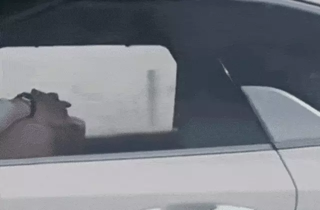 온라인 커뮤니티 캡처