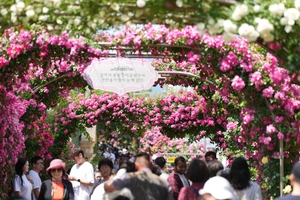 중랑구, ‘서울장미축제’ 준비 점검…안전·운영 대책 집중 점검
