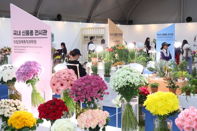 2025 고양국제꽃박람회 때 신품종 선보인 실내 전시관. 고양시 제공