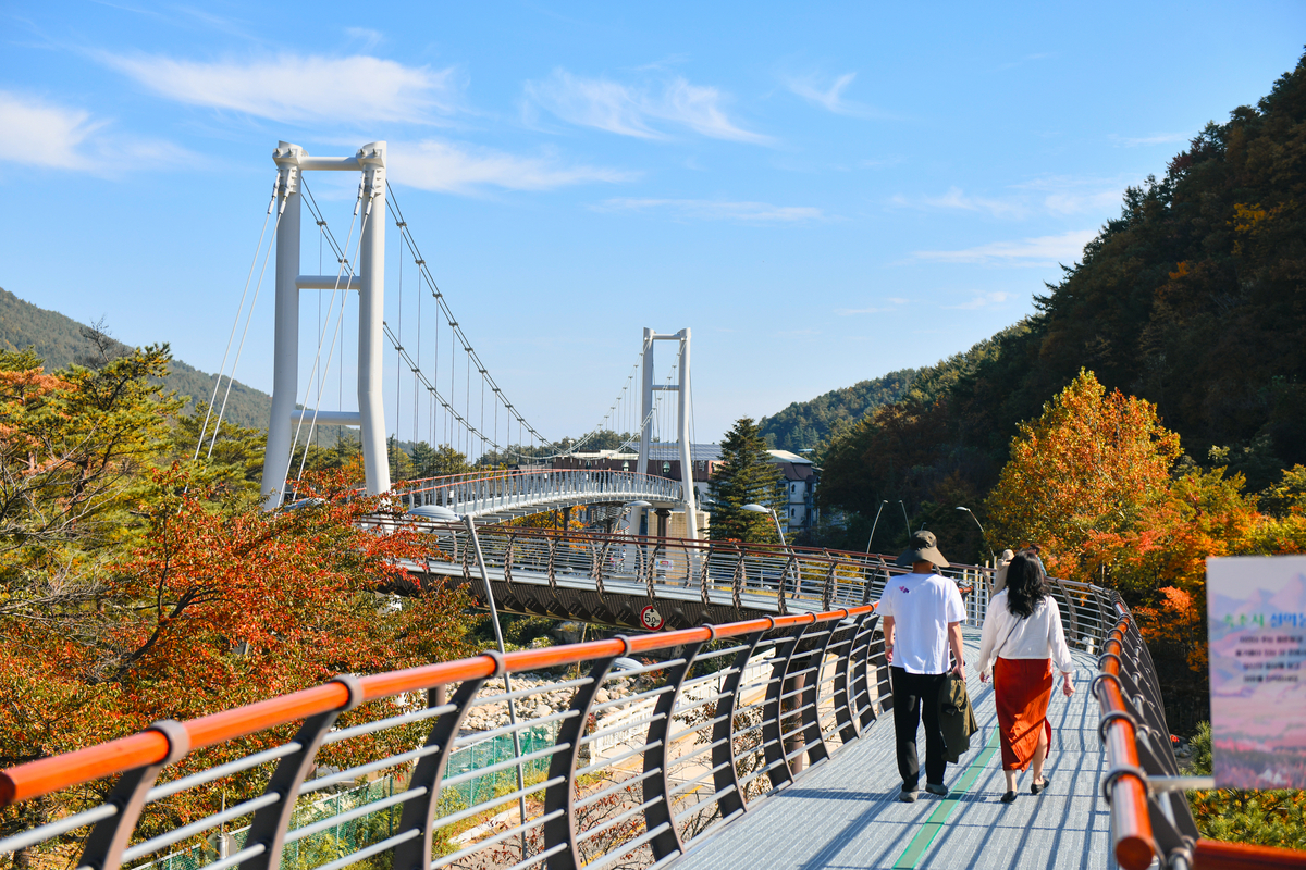 속초 '설악향기로' 누적 방문객 50만 명...체류형 관광 거점 도약 - 뉴스 썸네일 이미지