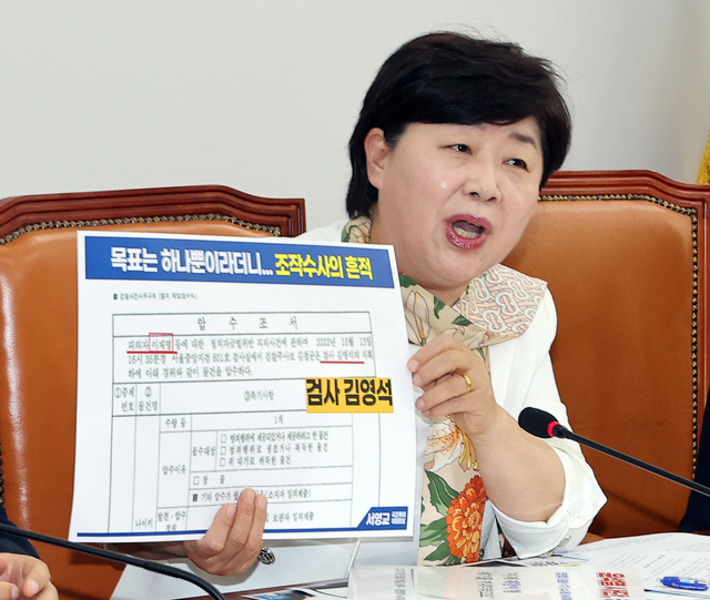 19일 국회에서 열린 ‘윤석열 정권 정치검찰 조작기소 의혹 사건 진상규명 국정조사특별위원회’ 소속 더불어민주당 기자간담회에서 서영교 위원장이 대장동 사건 청문회 내용을 설명하고 있다. 연합뉴스