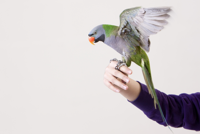  ��Ƽ�̹�����ũ