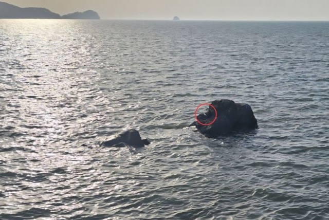 안산 방아머리 해변 인근 갯바위에 고립된 여성. 평택 해경 구조대에 의해 무사히 구조됐다. 평택해양경찰서·뉴시스