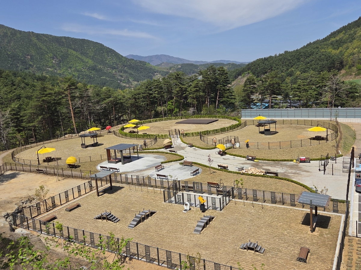 시민·반려동물 위한 '강릉시 펫파크' 27일 임시개장 - 뉴스 썸네일 이미지