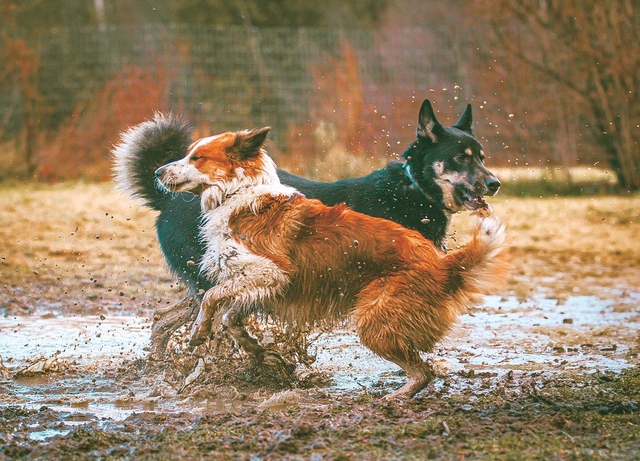 ��Ƽ�̹�����ũ