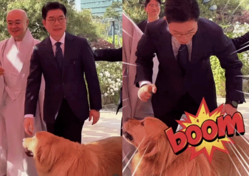 정원오, 봉은사서 ‘견보살’ 충돌 “어이쿠” 조회수 대박