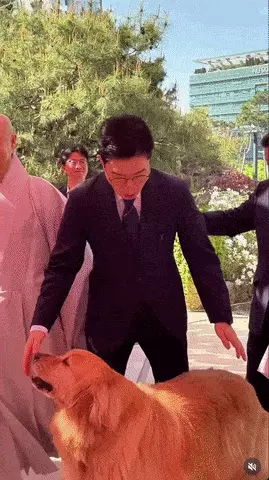 정원오 인스타그램