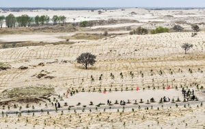 척박한 땅에 심은 ‘녹음의 꿈’