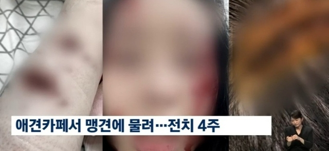 JTBC 보도화면 캡처.