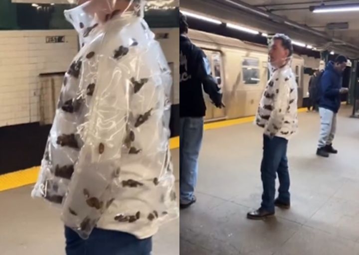 ‘바퀴벌레 움직이는 재킷’ 입은 남성…설마 그 명품브랜드?