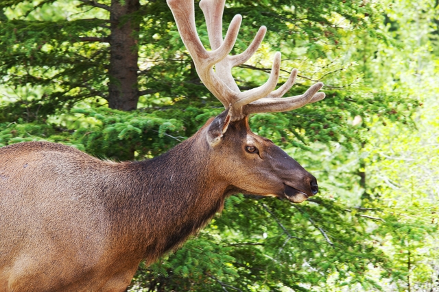  ��Ƽ�̹�����ũ