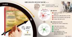 마비된 원숭이 ‘벌떡’… 뇌졸중 신약 찾았다