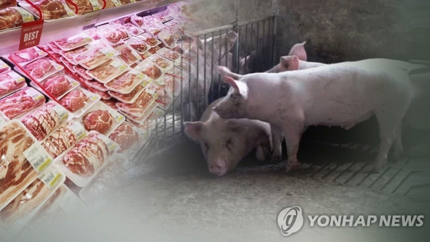 ‘국내산’이라던 보쌈 돼지고기, 알고보니…천만원어치 속여 판 업주에 벌금 700만원