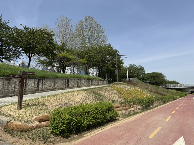 서울 금천구 제공