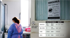 ‘박쥐’ 가니 이번엔 ‘쥐’ … 인간이 달군 도시, 감염병 공포 키웠다[Global Focus]