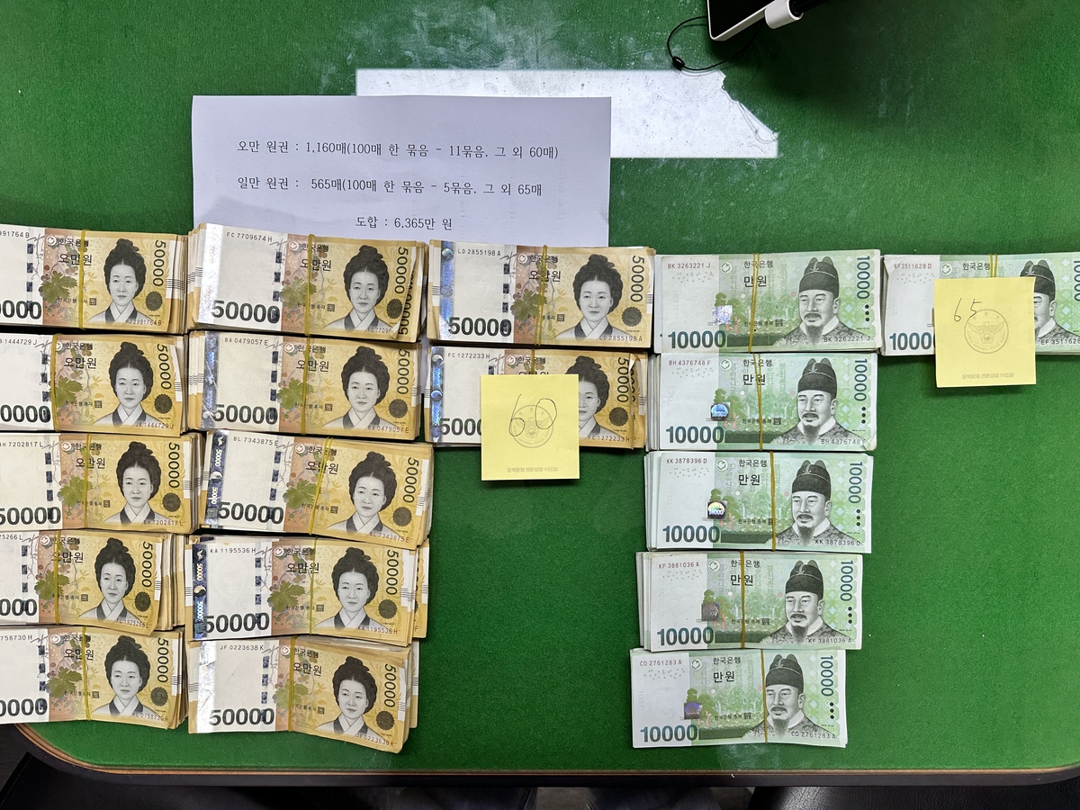 그라인더·쇠지렛대로 주택 금고 턴 50대 검거 - 뉴스 썸네일 이미지