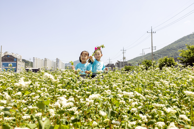 경북 칠곡군 하늘아래 어린이집 원생 강다윤(왼쪽)·김유하양이 석적읍 남율지구 메밀밭에서 자연 체험을 하고 있다. 칠곡군청 제공