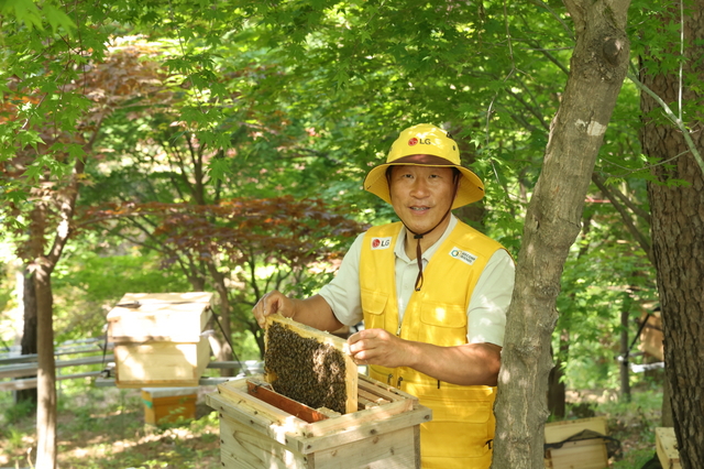 토종벌 명인 1호 김대립 명인이 LG가 조성한 경기 광주시 곤지암 생태수목원 화담숲 인근 정광산 내 ‘한라 토종벌 서식지’에서 토종 꿀벌의 상태를 확인하는 모습. LG 제공