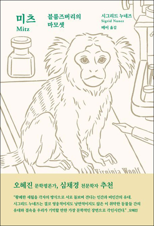 원숭이 미츠가 열어준 버지니아 울프의 세계[시인의 서재]