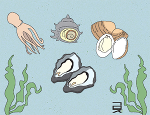 바다 물건[한성우 교수의 맛의 말, 말의 맛]