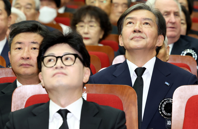 뉴시스