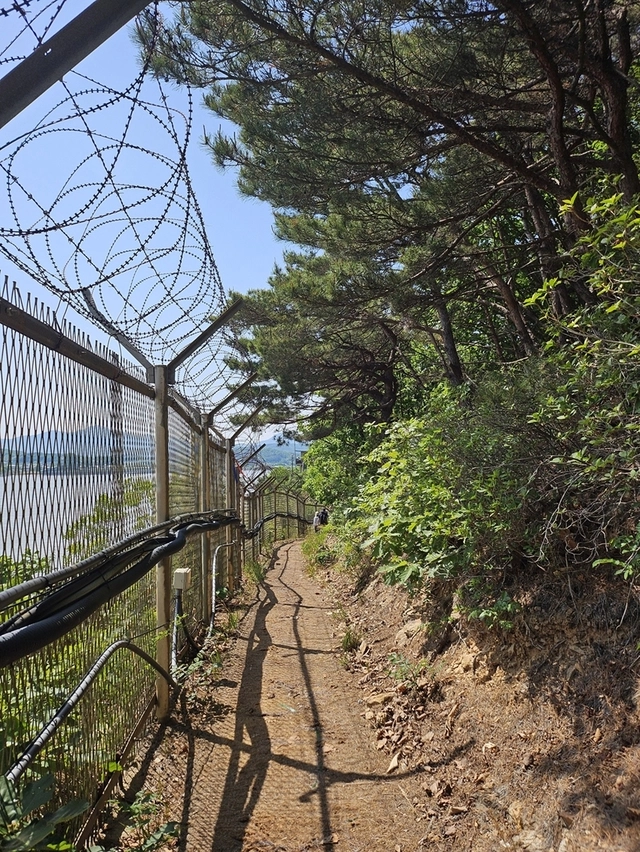 염하강 철책길